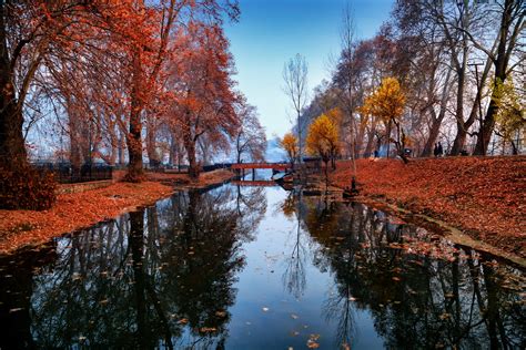 India In Autumn 2022 Best Autumn Destinations To Visit In India Wego