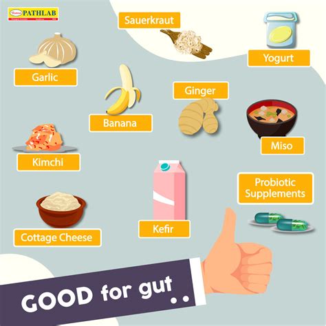 10 Good Foods For Your Gut