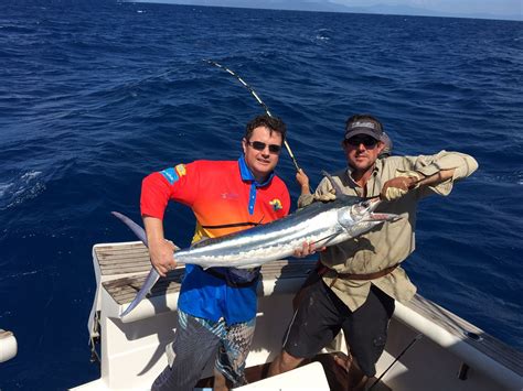 About Marlin Fishing Australia Adrenaline Charters