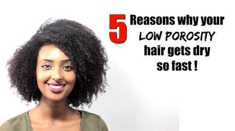 Why Your Low Porosity Hair Gets Dry So Fast And Doesnt Retain Moisture Increase Moisture Levels