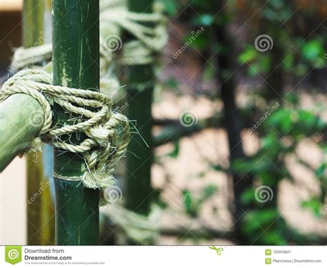 Tied Rope Circle On The Bamboo Pole Stock Image Image Of Black