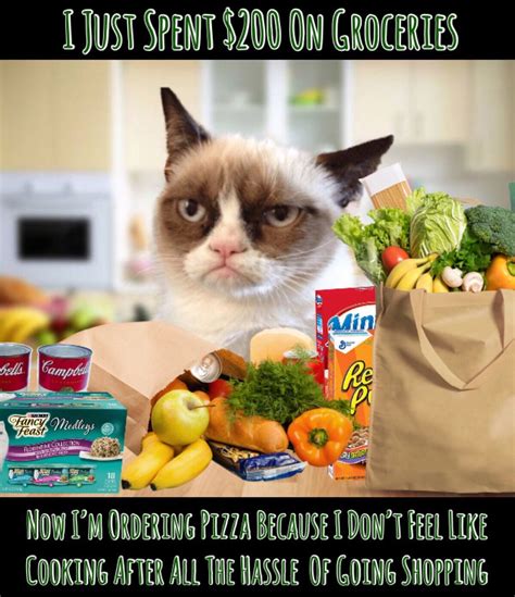 Grumpy Cat Just Spent 200 On Groceries But Is Ordering Pizza After All