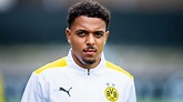 Donyell Malen: Who is Borussia Dortmund's Dutch forward that replaced ...