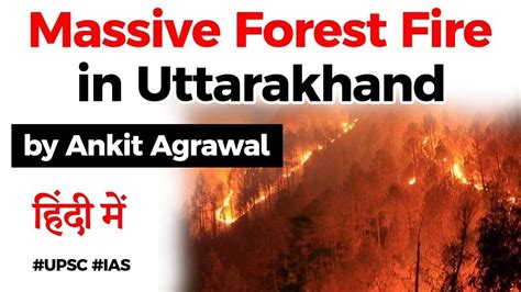 Uttarakhand Forest Fire 2020 Reason Behind Frequent Forest Fires In