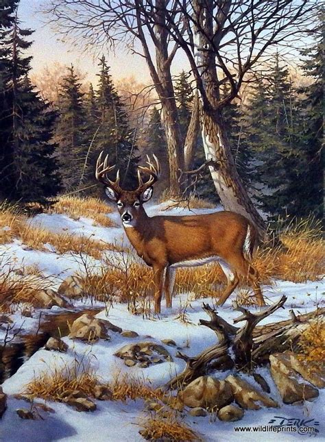 Artist Derk Hansen Unframed Buck Deer Print On The Edge Of The Woods