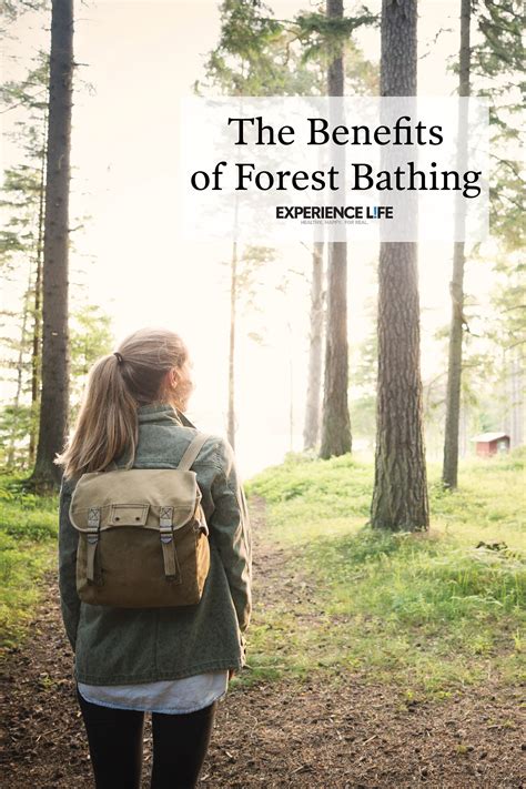 The Benefits Of Forest Bathing Artofit