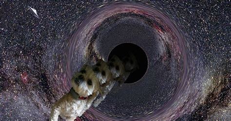 Dog Sucked Into Black Hole Album On Imgur