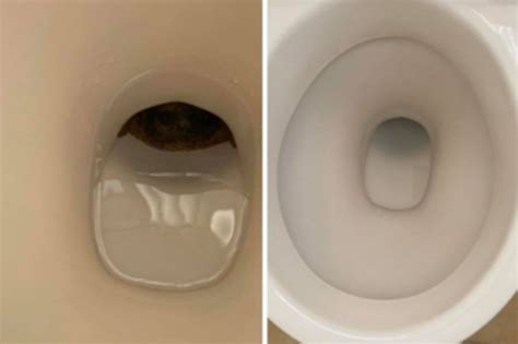 How To Clean A Toilet Bunnings Hack Removes Black Stains From Bowl NEWS