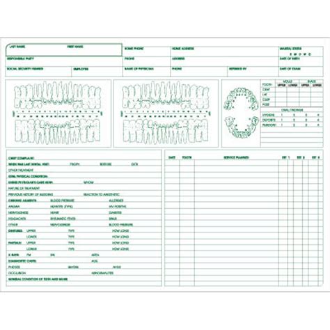 Df9152 Dental Forms Chart Includes Periodontal Charting And