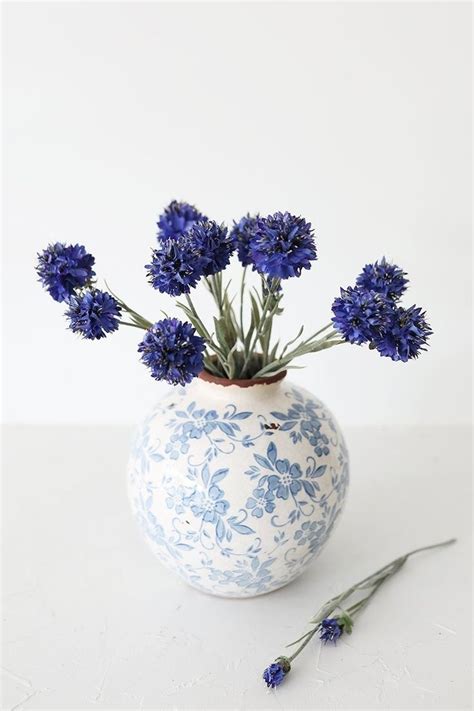 Blue Cornflower Arrangement In 2021 Spring Flower Arrangements