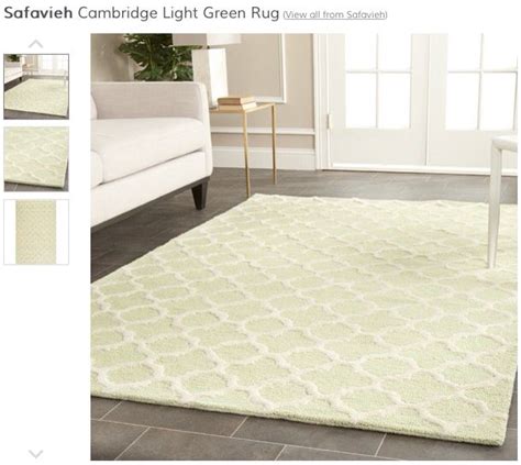 Love This Rug From Wayfair Would Fit Perfectly In My Living Room