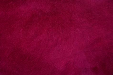 Red Smooth Fur Texture Abstract 4k Hd Abstract 4k Wallpapers Images