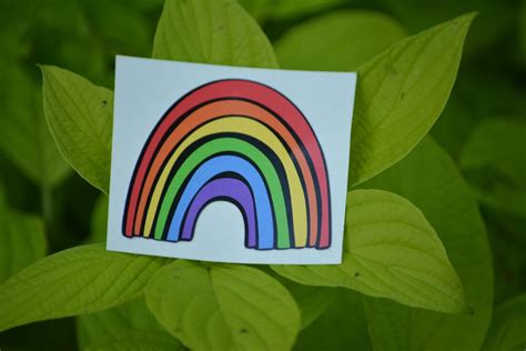 Rainbow Pride Sticker Rainbow Window Sticker Or Rainbow Etsy