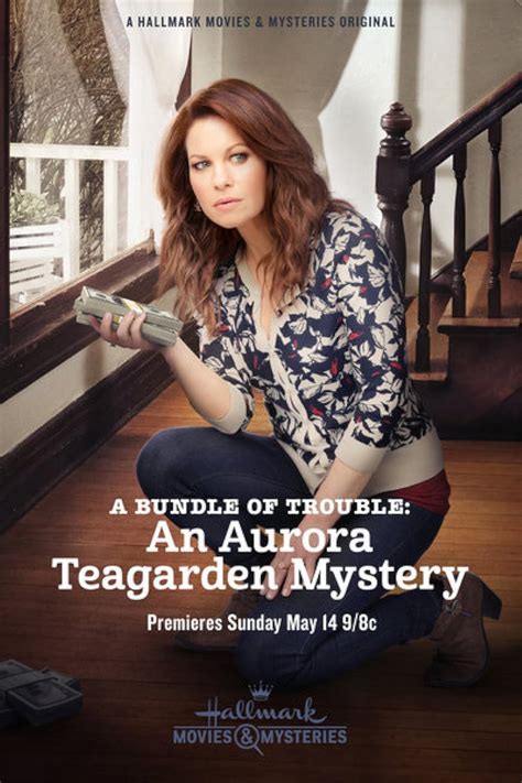 A Bundle Of Trouble An Aurora Teagarden Mystery 2017
