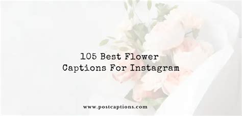 105 Best Flower Captions For Instagram