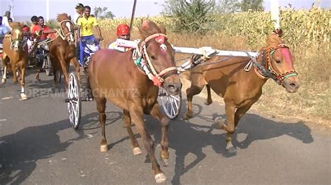 Horse Cart Race Sulebhavi 2020घोडागाडीचा शर्यतСКАЧКИਘੋੜਾ ਕਾਰਟ ਰੇਸ