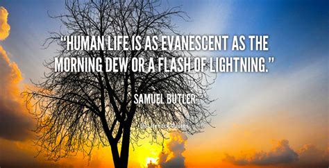 Famous quotes about 'Evanescent' - Sualci Quotes