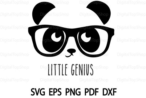 Little Genius Panda Svg Panda Face Svg Baby Panda Svg Little Boy Shirt