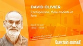 David Olivier - L'antispécisme, thèse modeste et forte [EQA2021] - YouTube