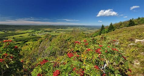Discover West Virginia Ride To The Top Of Canaan Valley The Bald Knob