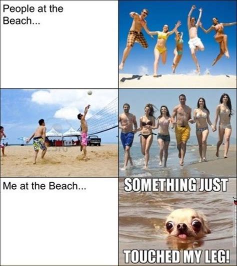 When I Go To The Beach Funny Pictures Funny Funny Memes