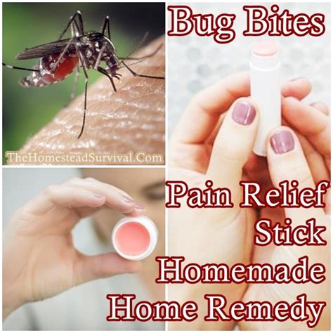 Bug Bites Pain Relief Stick Homemade Home Remedy The Homestead Survival
