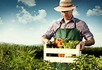 Image result for organic farmers
