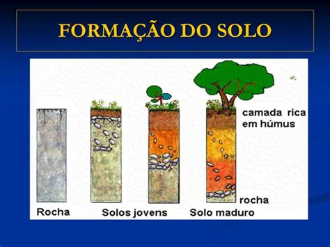 O Que é Um Solo Ácrico Como Reverter Essa Condição Mundo Ecologia