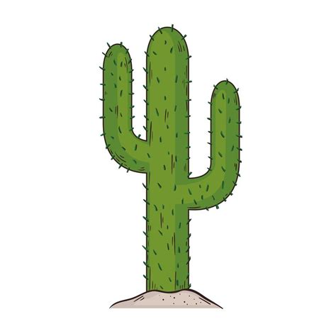 Cactus Dry Plant 2696188 Vector Art At Vecteezy