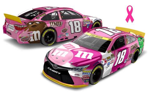 As an organization, they have earned seven driver's championships and over 330 wins across all the major series since 1992. 2015 Kyle Busch #18 M&M's Pink Diecast