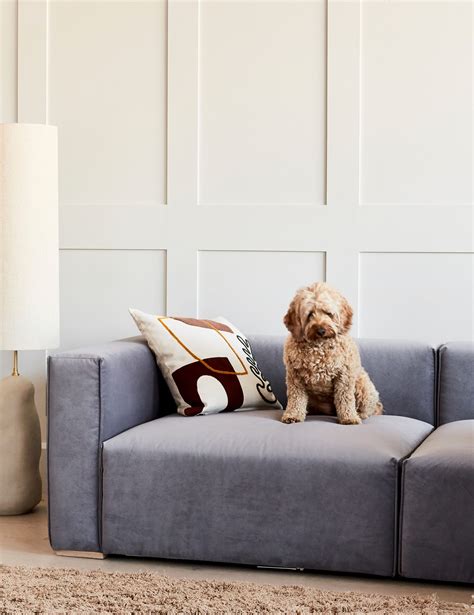 How To Choose A Pet Friendly Sofa Rose And Grey In 2021 Stylish