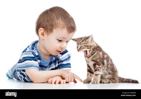 Small Boy Cat Hi Res Stock Photography And Images Alamy
