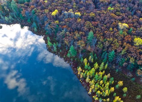 Aerial View From Top Trees 4k Hd Nature 4k Wallpapers Images