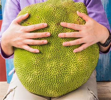 Why Do Vegans Love Jackfruit