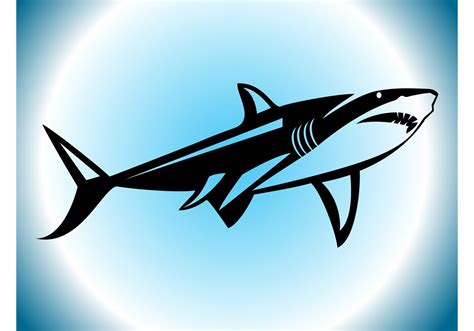 Shark Silhouette Download Free Vector Art Stock Graphics And Images