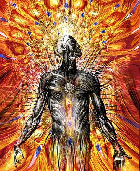 Tool Band Art Lateralus Publish 166 Investingbb