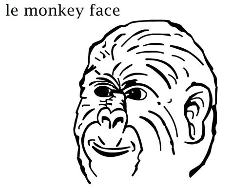 Le Monkey Face