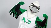LetsGoDU: North Dakota launches new Fighting Hawk mascot