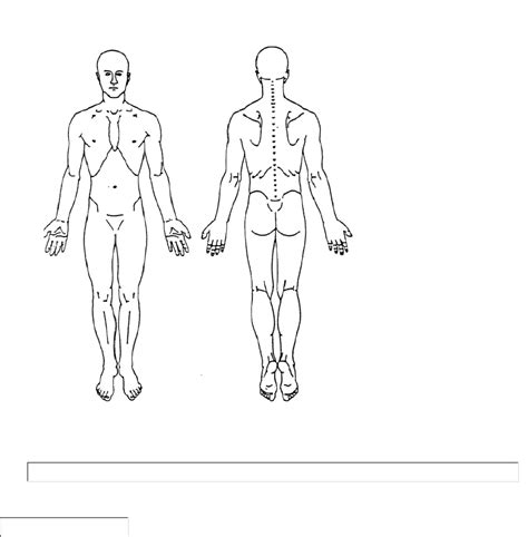 printable body chart physiotherapy