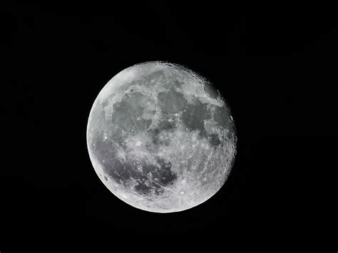Astrología ¿qué Efectos Tiene La Luna En Tu Signo Zodiacal Panorama