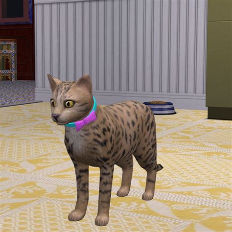 Mod The Sims Cat Bow Collars Cat Bow Pet Collars Bow Collar