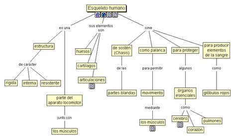 Aparato Locomotor Esqueleto Humano Mapa Conceptual The Best