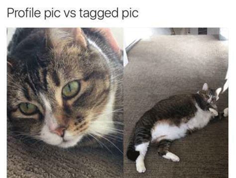 34 Memes That Capture The Struggle Of Profile Vs Tagged Photos