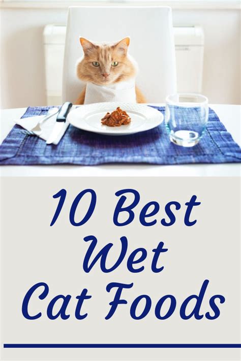 It needs to be the best canned cat food for a carnivore. 13 Best Wet Cat Foods Your Cat Will Love  2020  (With ...