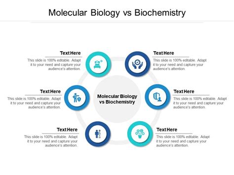 Molecular Biology Vs Biochemistry Ppt Powerpoint Presentation Icon