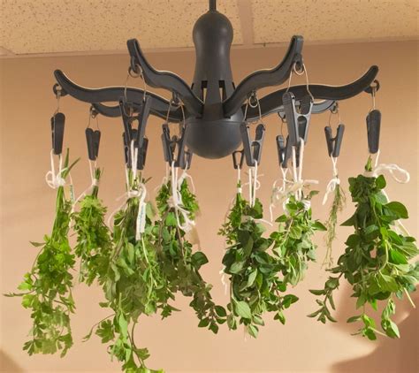 Our Own Herb Drying Rack With Fresh Herbs From The Kids Garden