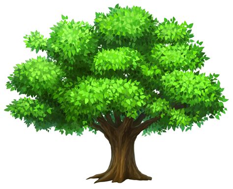 Дерево клипарт ПНГ на Прозрачном Фоне • Скачать Png Дерево клипарт