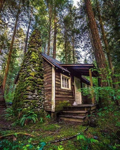 Pin By Bobbie On Cozy Cabins And Decor Cabin Living Forest House