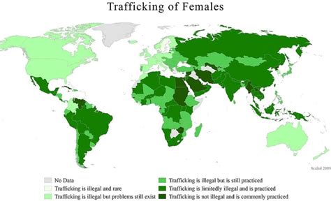 Fast Facts Human Trafficking