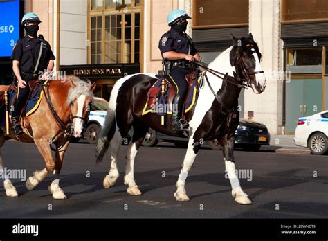 Nypd Mounted Police On Police Horses In New York City Stock Photo Alamy